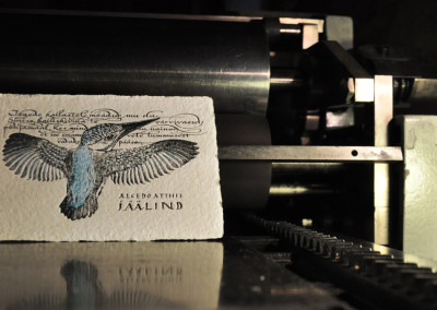 letterpress greeting card kingfisher korrex nurnberg
