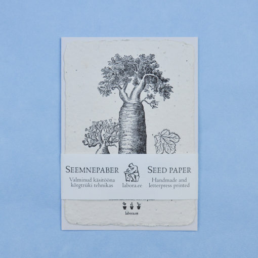 Adansonia Rubrostipa postcard seedcard