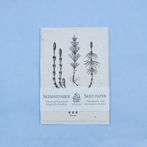 Equisetum Arvense postcard seedcard