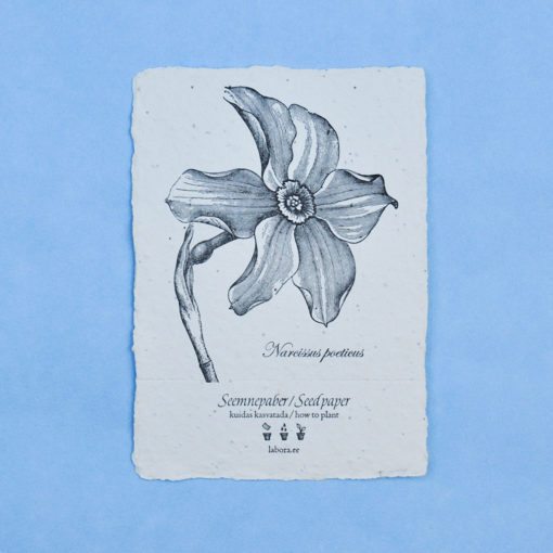 Narcissus Poeticus postcard seedcard
