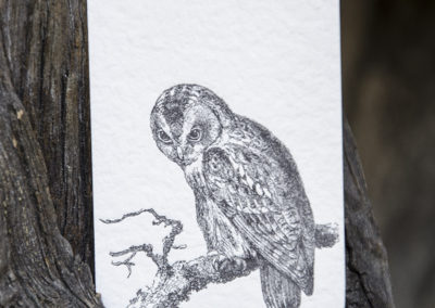 Business Card Owl