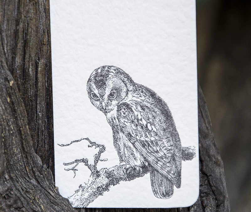 Business Card Owl