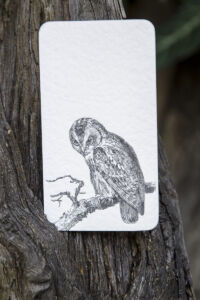 letterpress business card with owl on handmade paper